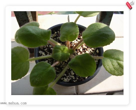 [����]Rachel������С�ǣ�P22���������»����ܣ�