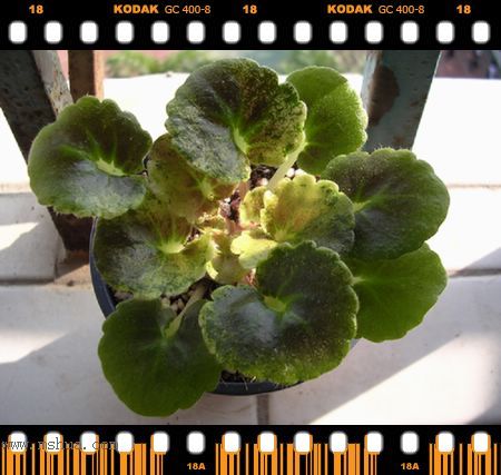 [����]Rachel������С�ǣ�P22���������»����ܣ�