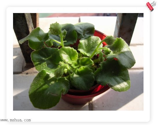 [����]Rachel������С�ǣ�P22���������»����ܣ�