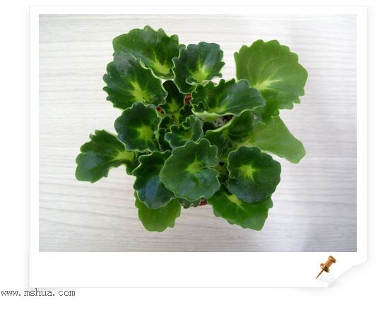 [����]Rachel������С�ǣ�P22���������»����ܣ�