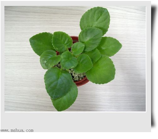 [����]Rachel������С�ǣ�P22���������»����ܣ�