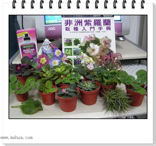 [����]Rachel������С�ǣ�P22���������»����ܣ�