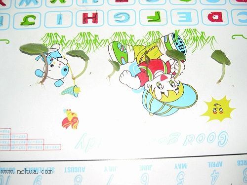 �Ҽҵ�����RachelMM�����Ź������յ��ˣ�