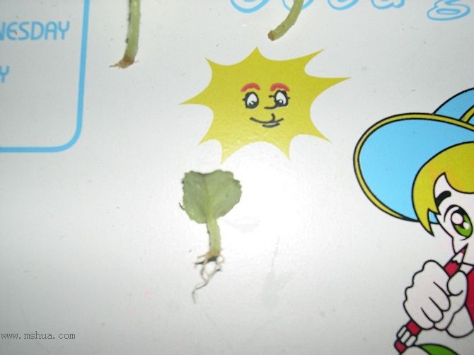 �Ҽҵ�����RachelMM�����Ź������յ��ˣ�