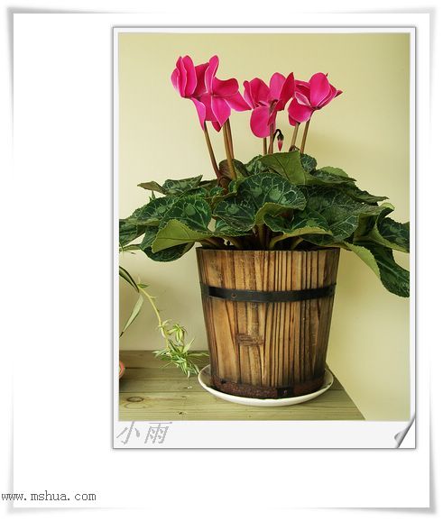 ���¼���,�����Ŷ