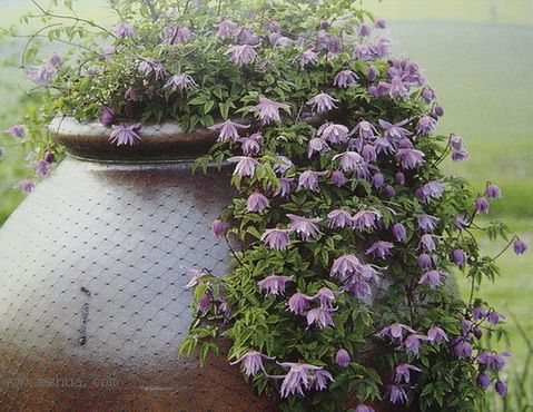 �Ǹ����ߵ�¥��