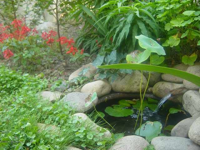 ����СԺ-P1�ھ���ˮ