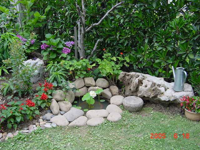 ����СԺ-P1�ھ���ˮ