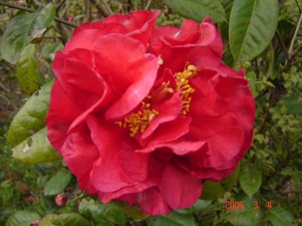 [ת��]�۲�԰