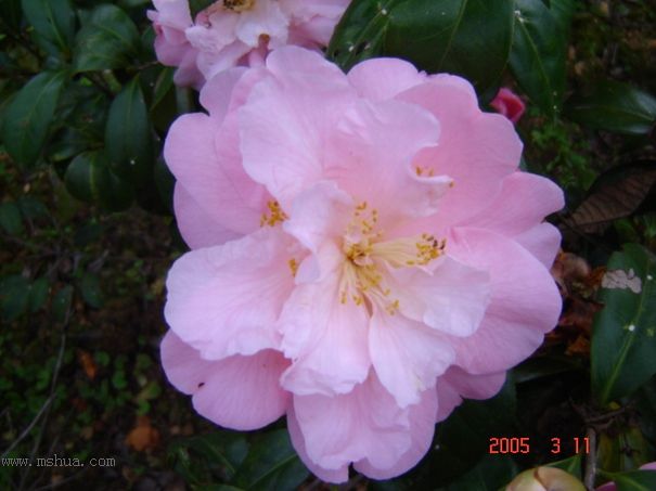 [ת��]�۲�԰