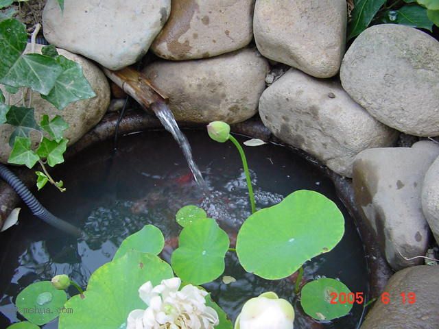 ����СԺ-P1�ھ���ˮ