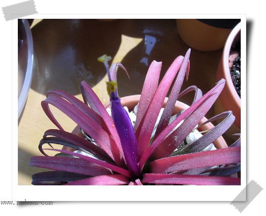 [����]������������������(P12-13���������ޣ�)