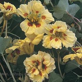 [��ͼ][ת��]�����Ķ��Ľ���������ʱ����ӵ�У���