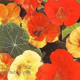 [��ͼ][ת��]�����Ķ��Ľ���������ʱ����ӵ�У���