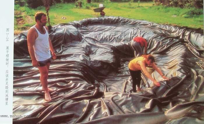 ����СԺ����P6 DIYͥԺˮ��