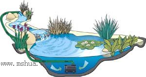 ����СԺ����P6 DIYͥԺˮ��