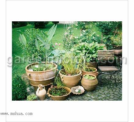 ����СԺ����P6 DIYͥԺˮ��