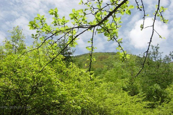 ţ�����㼣:��ũ��ɽˮ