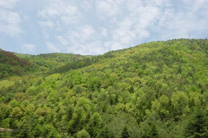 ţ�����㼣:��ũ��ɽˮ