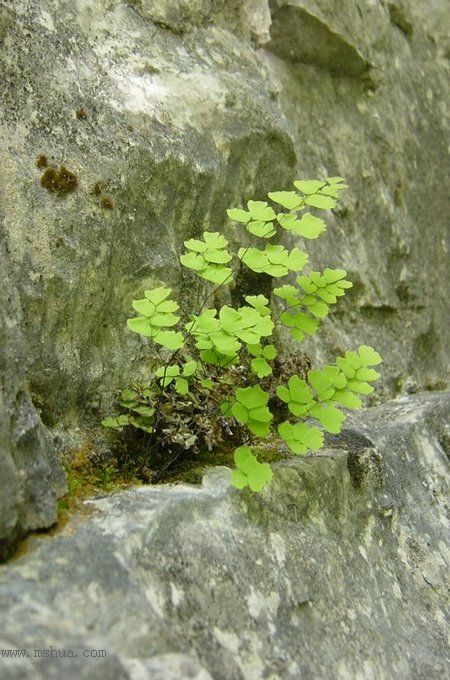 ţ�����㼣:��ũ��ɽˮ