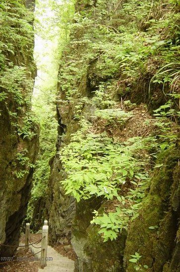 ţ�����㼣:��ũ��ɽˮ