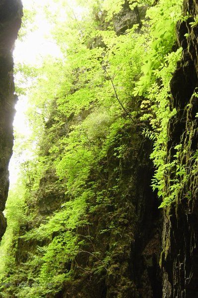 ţ�����㼣:��ũ��ɽˮ