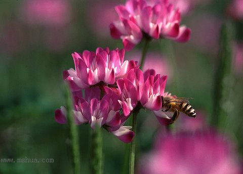 ������Щ���㶼�ܽг�������