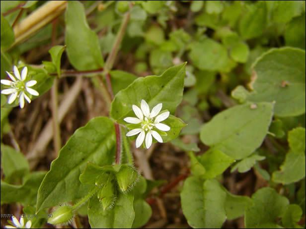 ������Щ���㶼�ܽг�������