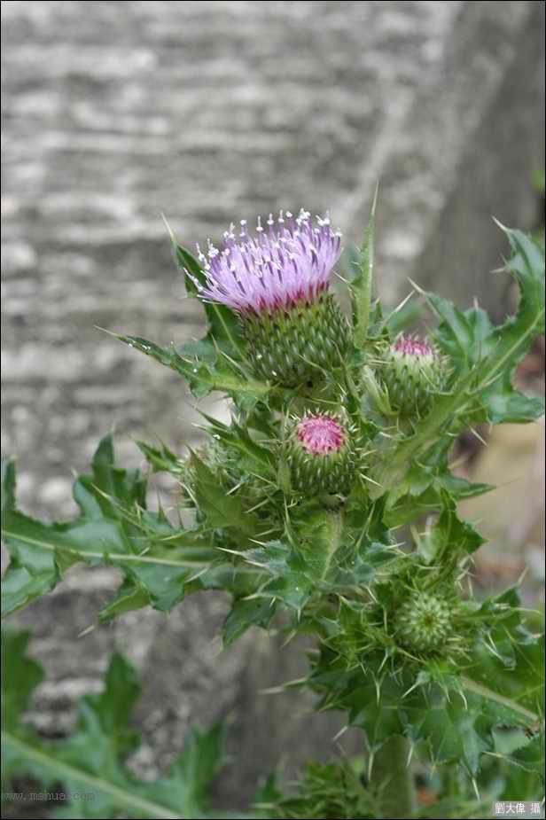 ������Щ���㶼�ܽг�������