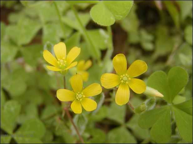 ������Щ���㶼�ܽг�������