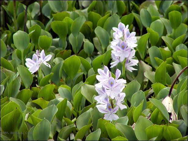 ������Щ���㶼�ܽг�������