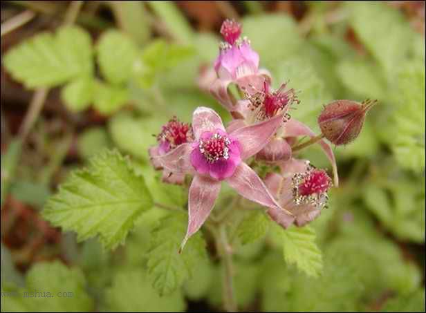 ������Щ���㶼�ܽг�������