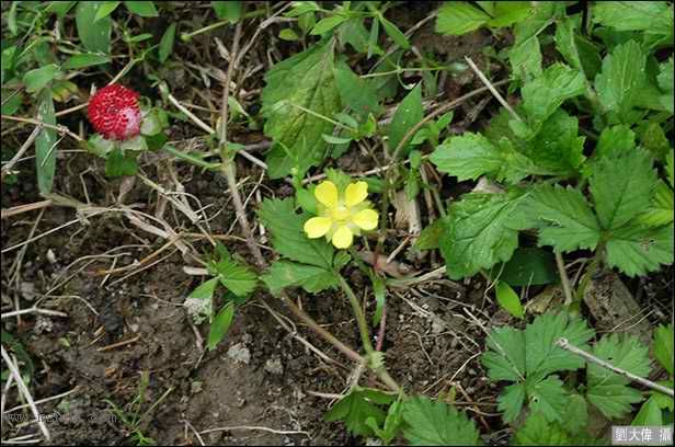 ������Щ���㶼�ܽг�������