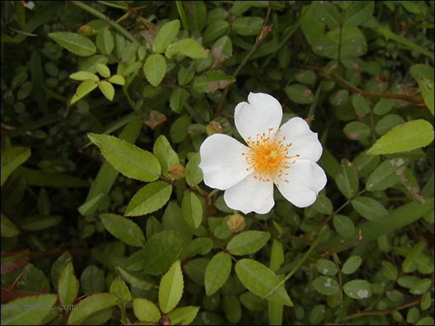 ������Щ���㶼�ܽг�������