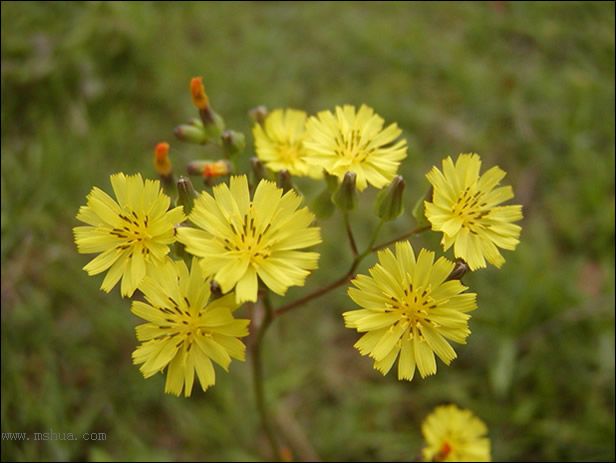 ������Щ���㶼�ܽг�������