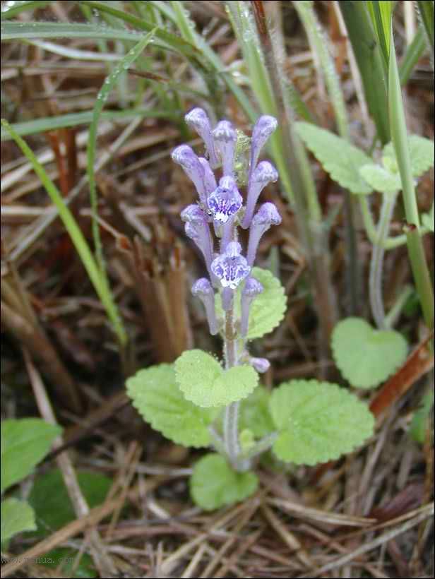 ������Щ���㶼�ܽг�������