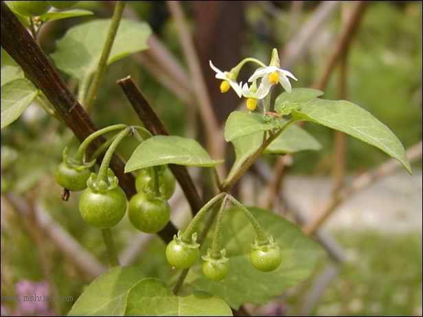 ������Щ���㶼�ܽг�������