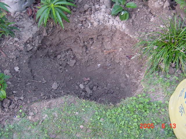 ����СԺ-P1�ھ���ˮ