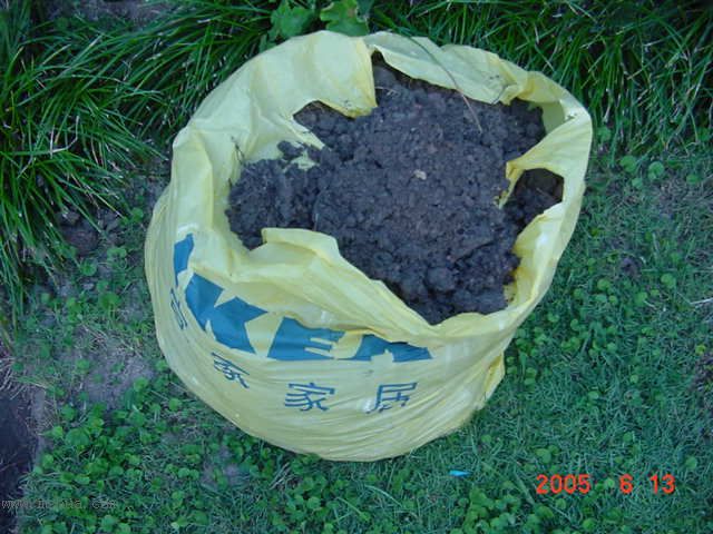 ����СԺ-P1�ھ���ˮ