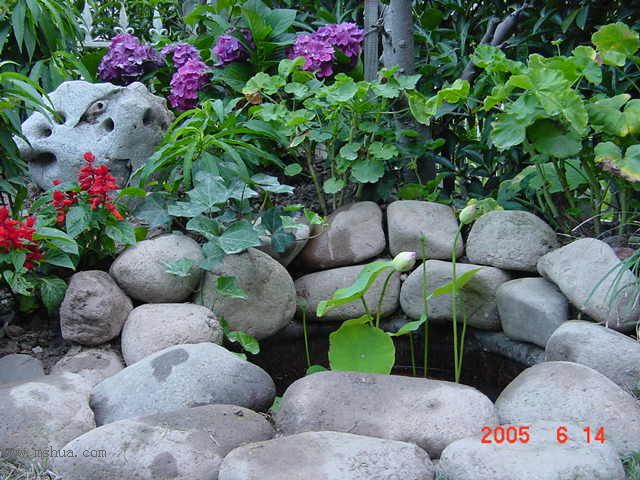 ����СԺ-P1�ھ���ˮ