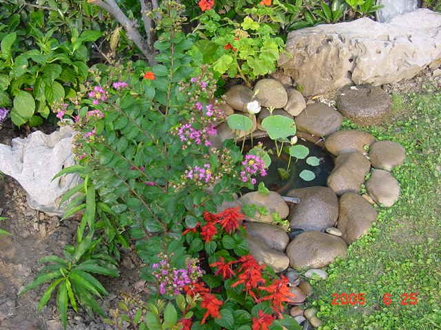 ����СԺ-P1�ھ���ˮ