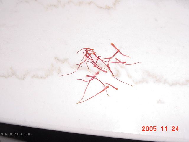 �����ﲥ�滨԰�Ӽǡ�P7 ���컨��