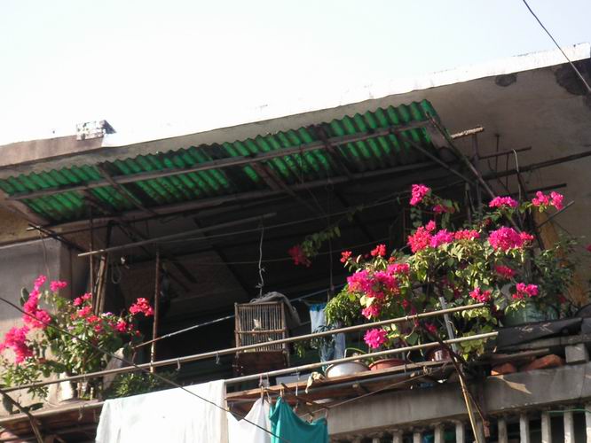 ������̨�ϵ�����÷