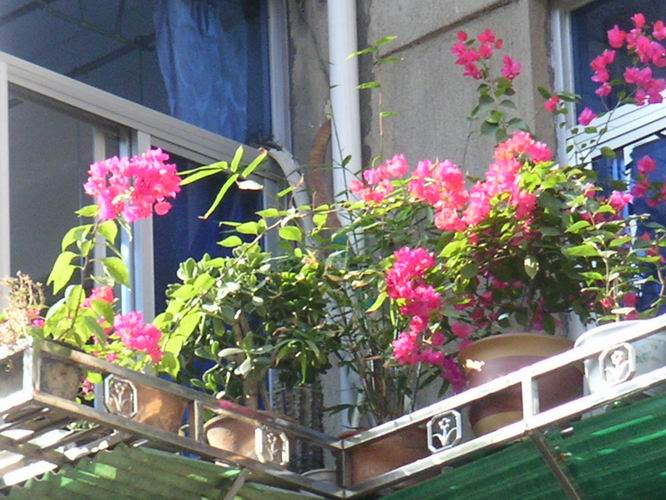 ������̨�ϵ�����÷