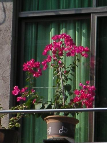 ������̨�ϵ�����÷