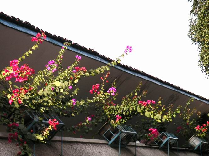 ������̨�ϵ�����÷