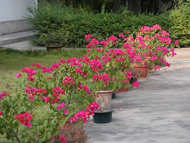 ������̨�ϵ�����÷