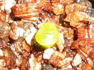 [��ͼ]�ճ�����ʯ����д����Ƭ��������11��4�գ���