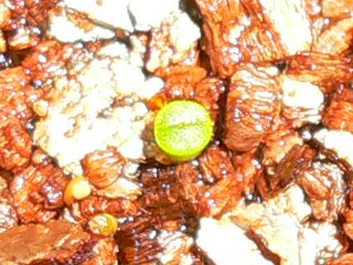 [��ͼ]�ճ�����ʯ����д����Ƭ��������11��4�գ���