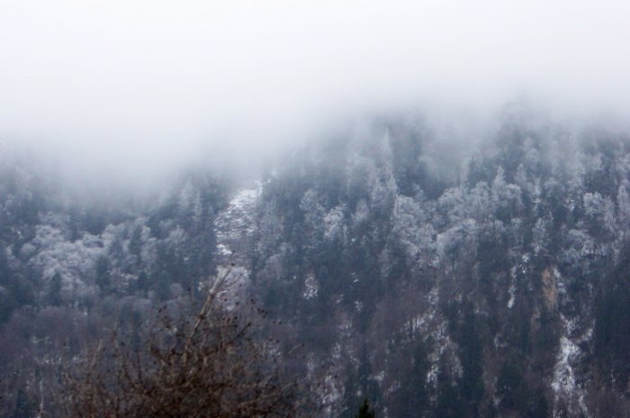 �˼��ɾ�--��կ��